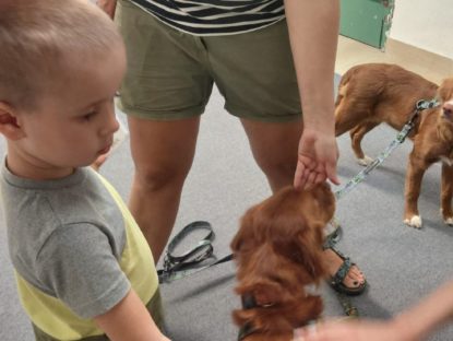 Zdjęcie WhatsApp 2025 09 28 O 15.42.58 F36707ae