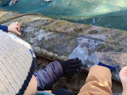 WhatsApp Image 2026 02 26 At 14.46.41