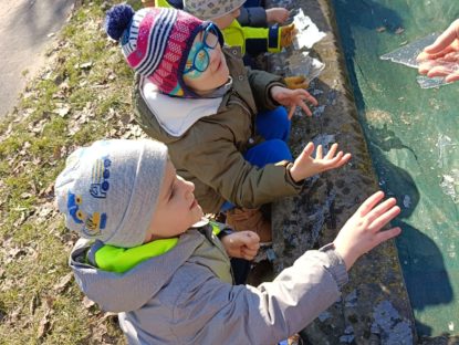 WhatsApp Image 2026 02 26 At 14.49.07