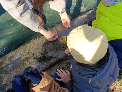 WhatsApp Image 2026 02 26 At 14.55.35