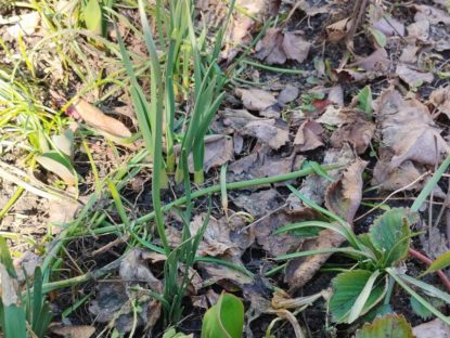 WhatsApp Image 2026 03 06 At 14.41.49 (4)