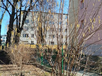 WhatsApp Image 2026 03 06 At 14.42.06 (4)