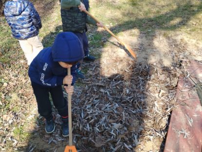 WhatsApp Image 2026 03 06 At 14.42.07